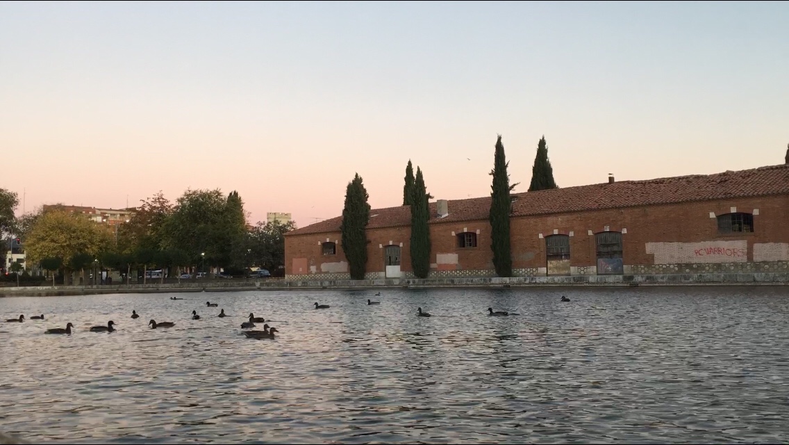 Convertir la Dársena del Canal de Castilla en el Puerto de Palencia