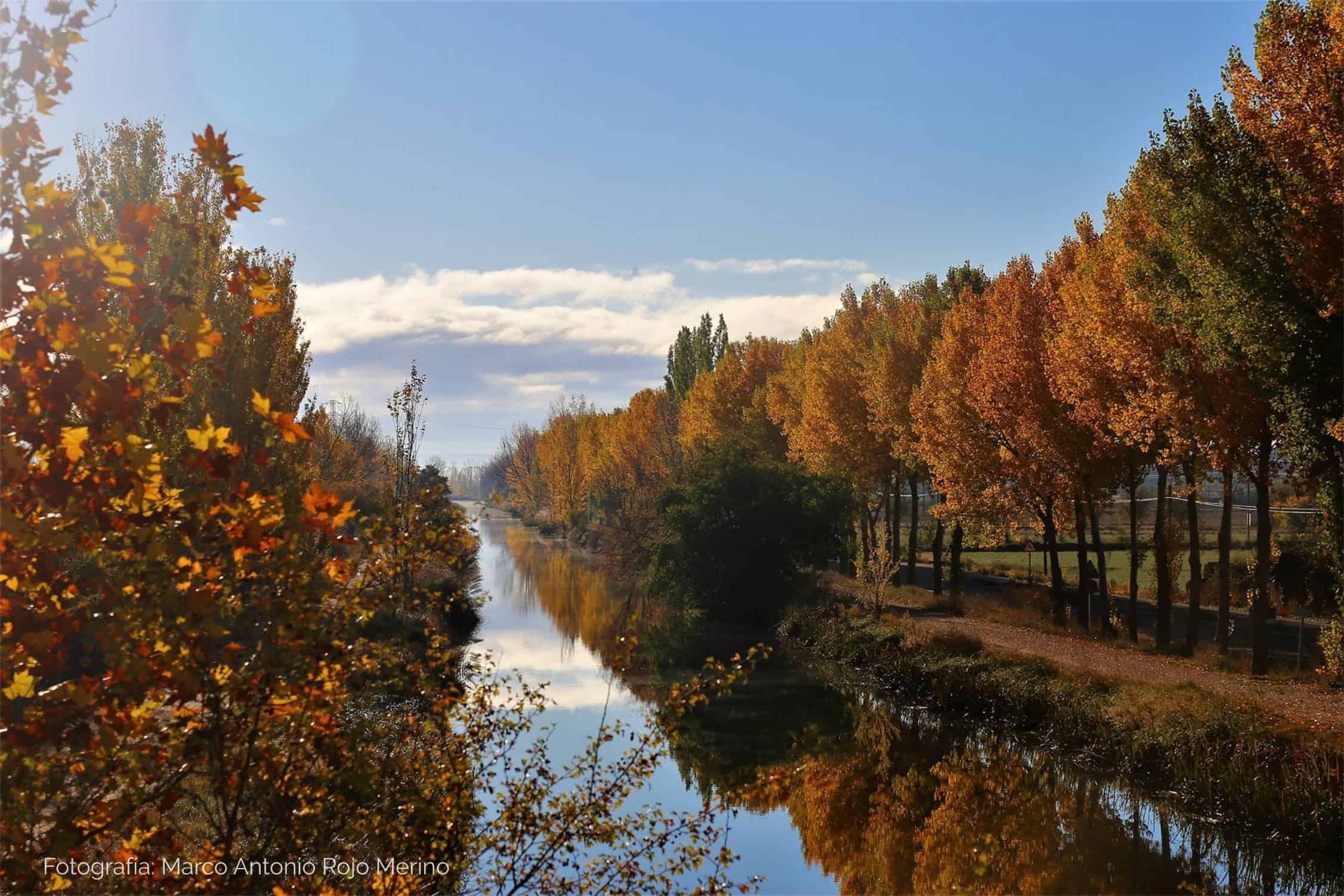 Siéntete como un marinero en el Canal de Castilla