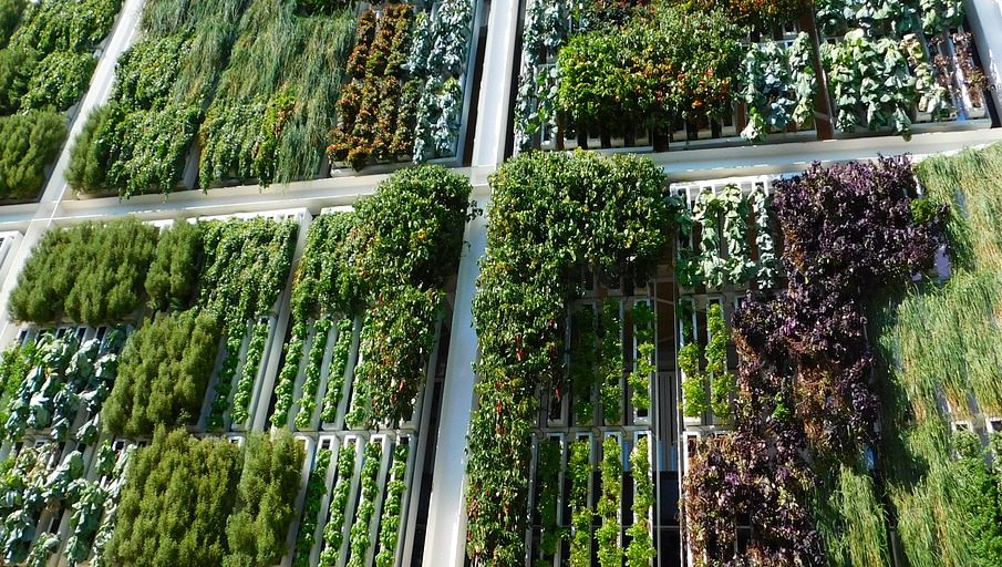 Naturalizar la ciudad es el objetivo del nuevo proyecto «Palencia Naturelands»