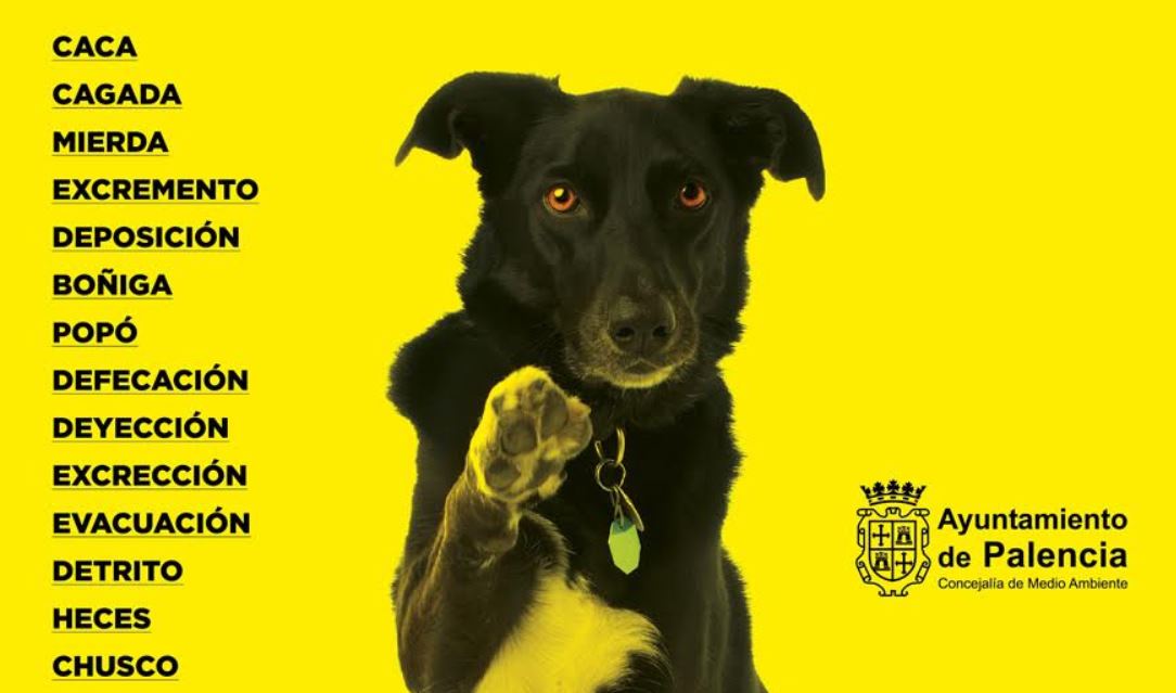 Campaña de sensibilización contra los excrementos de perros en Palencia