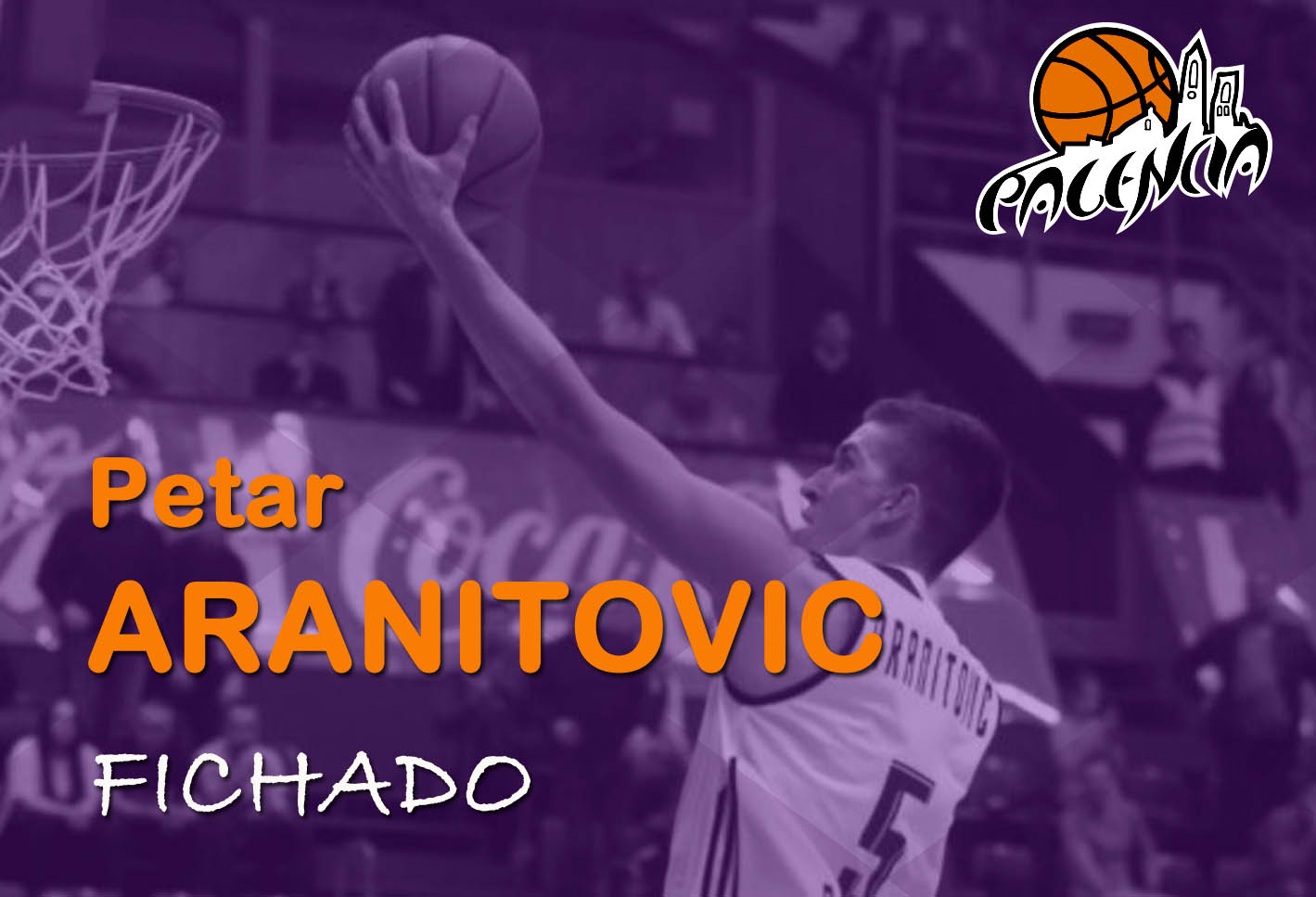 El Palencia Baloncesto ficha a Petar Aranitovic