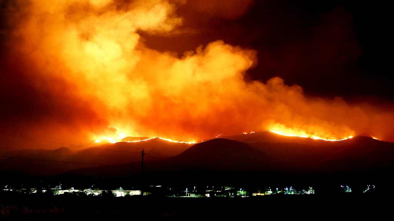 Declarado peligro medio de incendios forestales en Palencia