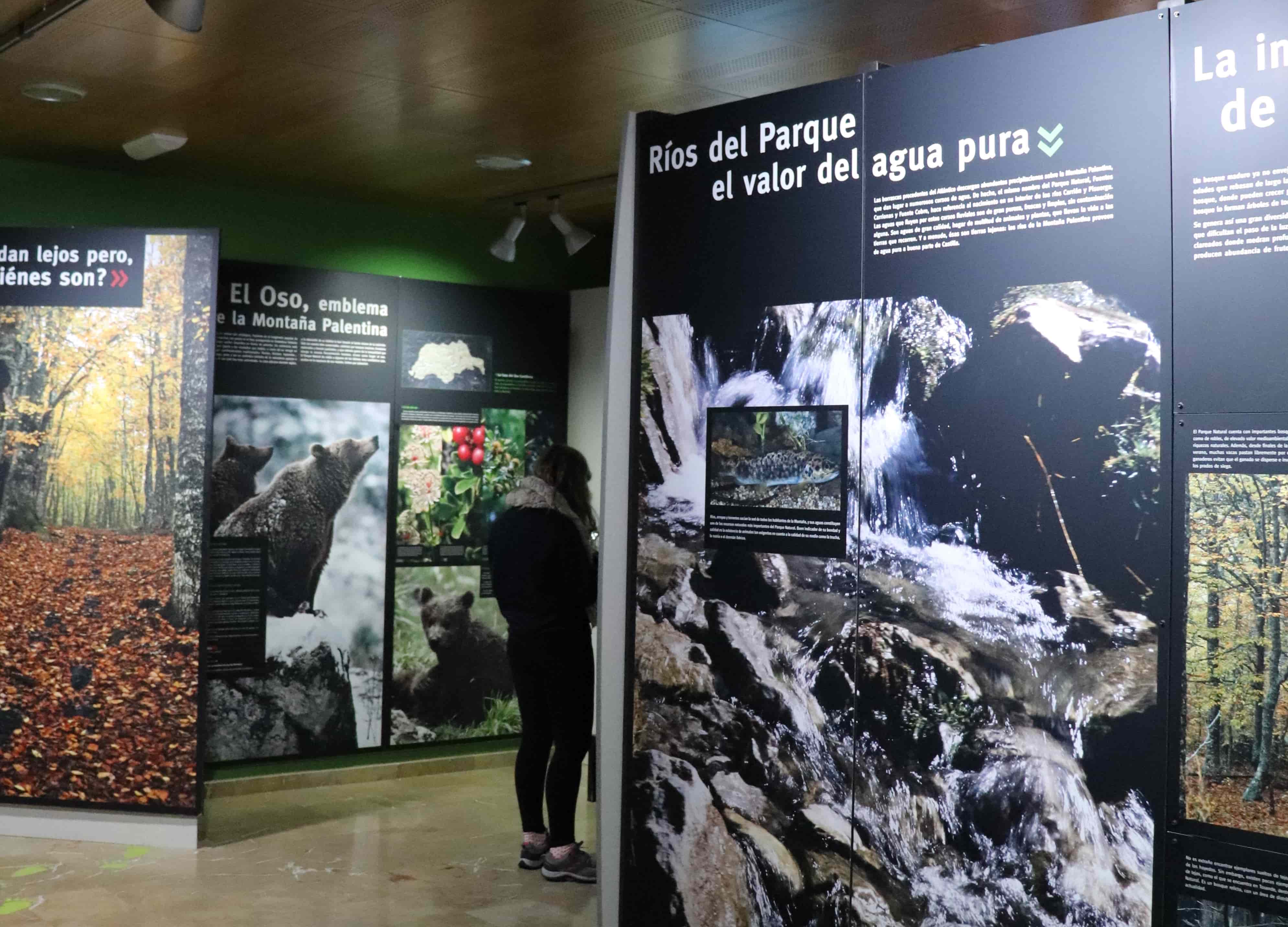 Las Casas del Parque recibieron más de medio millón de visitantes el año pasado