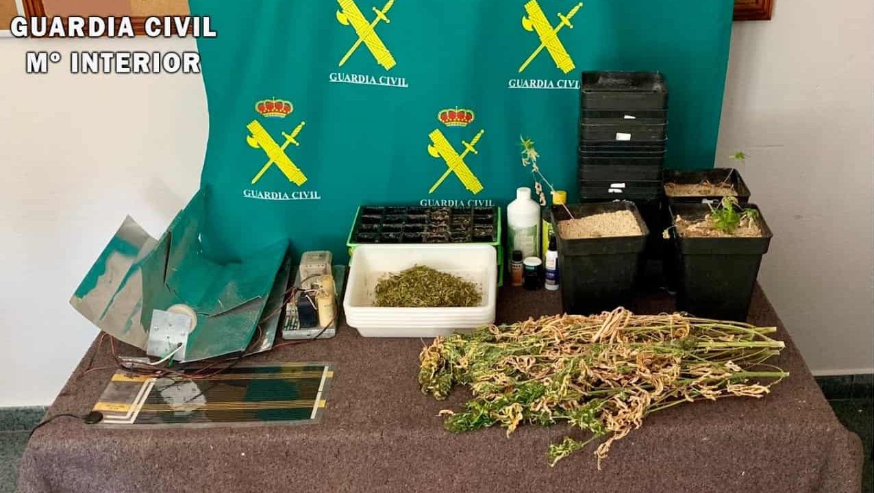 La Guardia Civil investiga a un hombre de Aguilar de Campoo por cultivo de marihuna