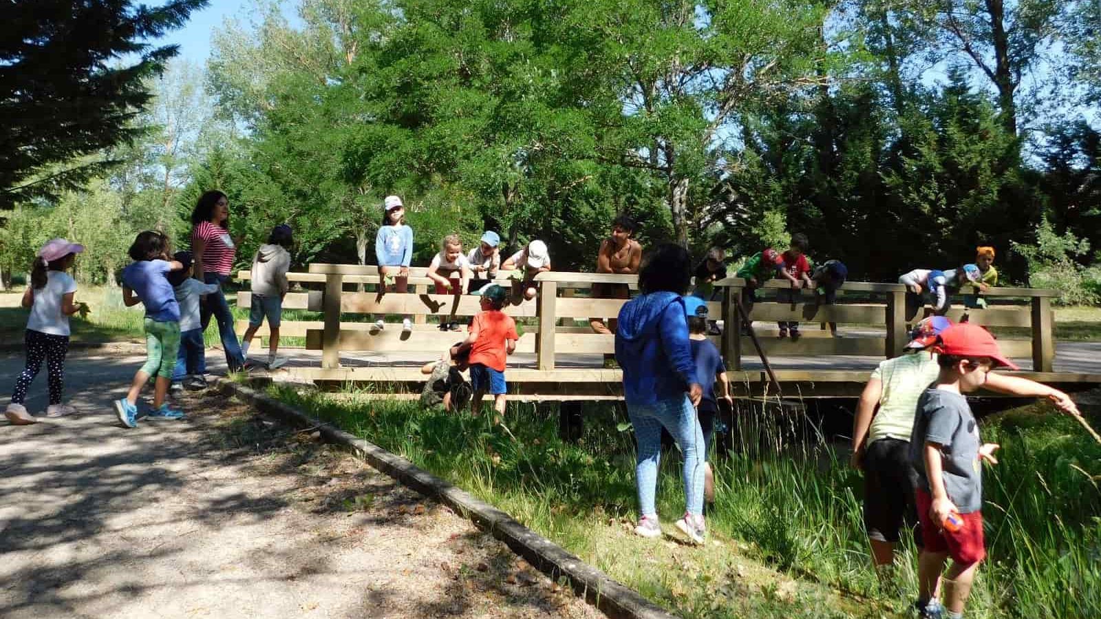 Más de 40 niños se acercan al Arte y la Naturaleza con los talleres “Te vas a quedar de piedra”