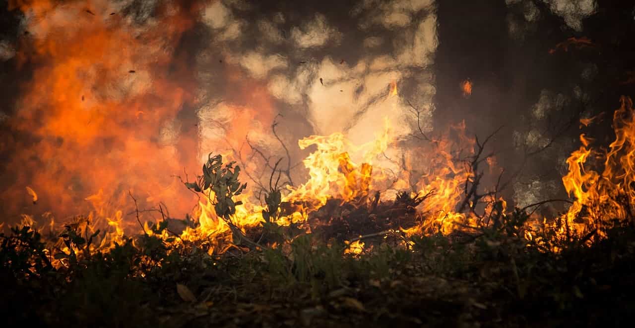 Continúa activo y en nivel 2 en incendio forestal de Gallegos del Río, en Zamora