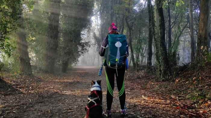 Ganadores del Concurso de Fotografía del Camino con Correos