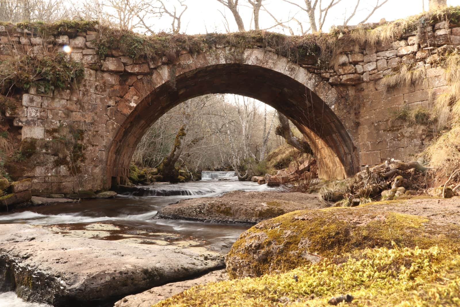 Brañosera aborda las oportunidades del entorno natural de la Montaña Palentina