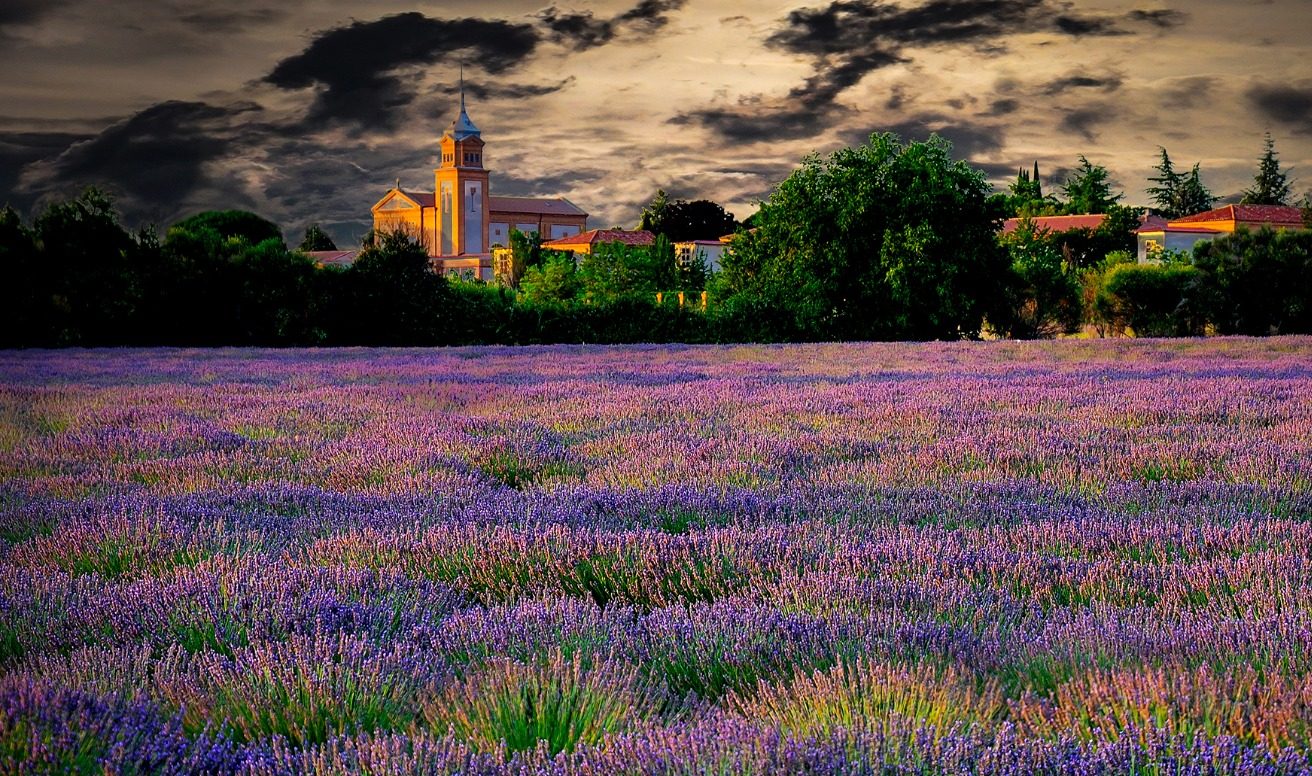 Conoce las fotografías ganadoras del concurso «Rincones de Palencia» 2019