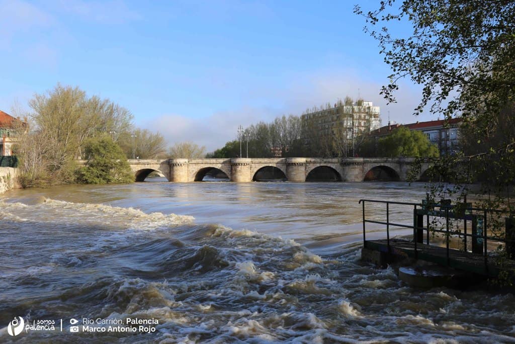 La punta de avenida del río Carrión llegará esta tarde a la capital palentina