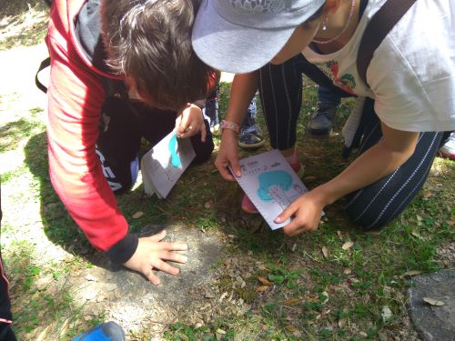 Más de 7.000 escolares participaron durante 2019 en los programas de educación ambiental de la Fundación Oso Pardo en la Cordillera Cantábrica y los Pirineos