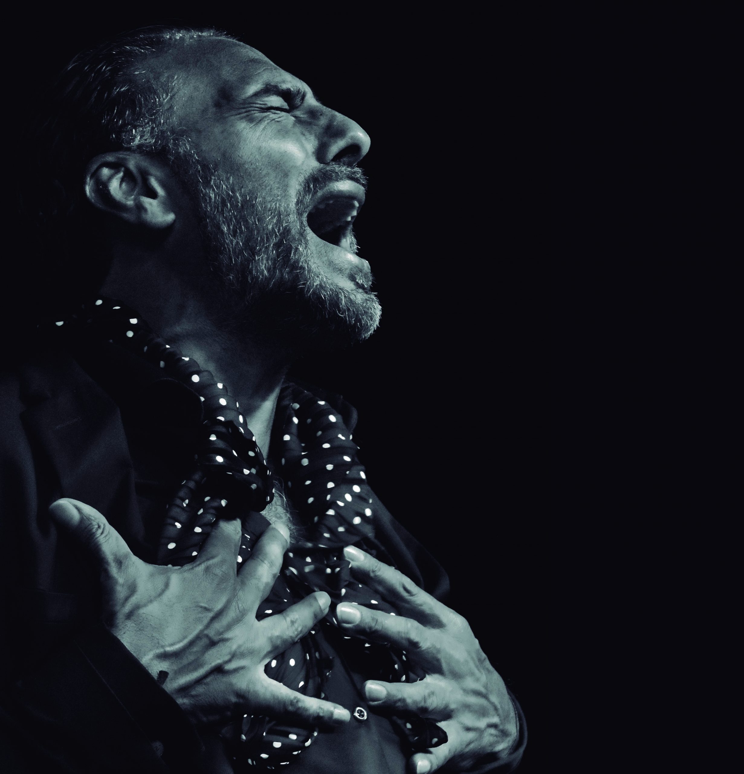 El cantaor Pedro el Granaíno abrirá el telón de ‘Las noches flamencas del Principal’