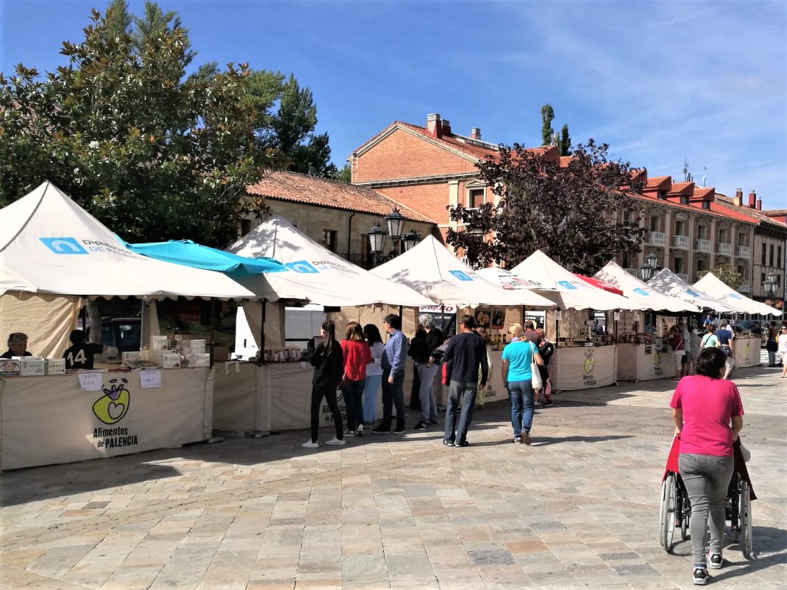 La Diputación de Palencia abre el plazo para solicitar ayudas a PYMES