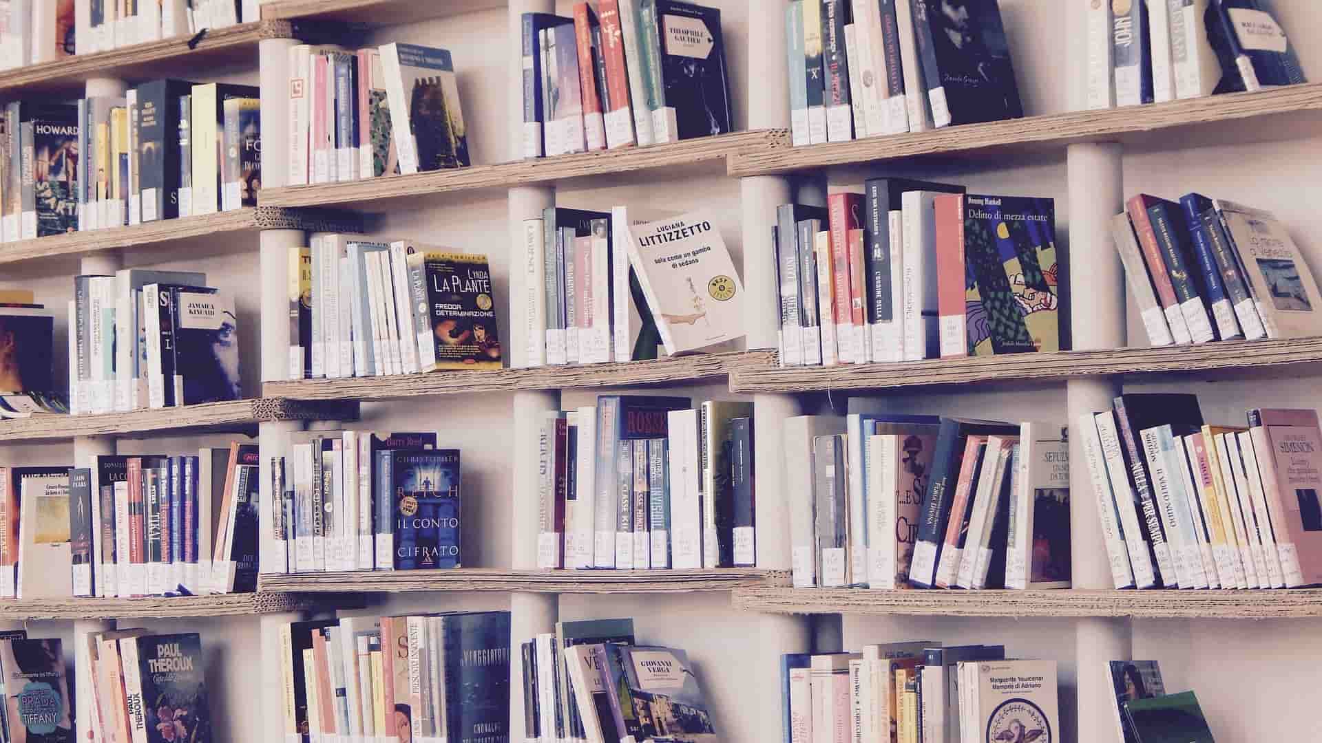 Una celebración muy especial para el Día del Libro 2020 en Palencia