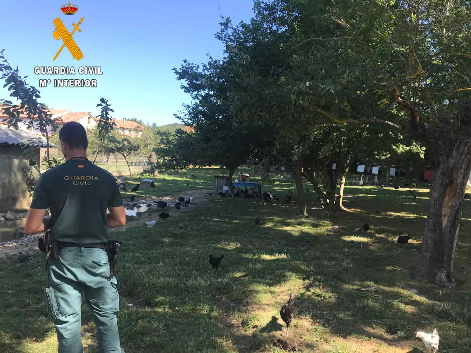 La Guardia Civil investiga irregularidades sanitarias en una granja escuela