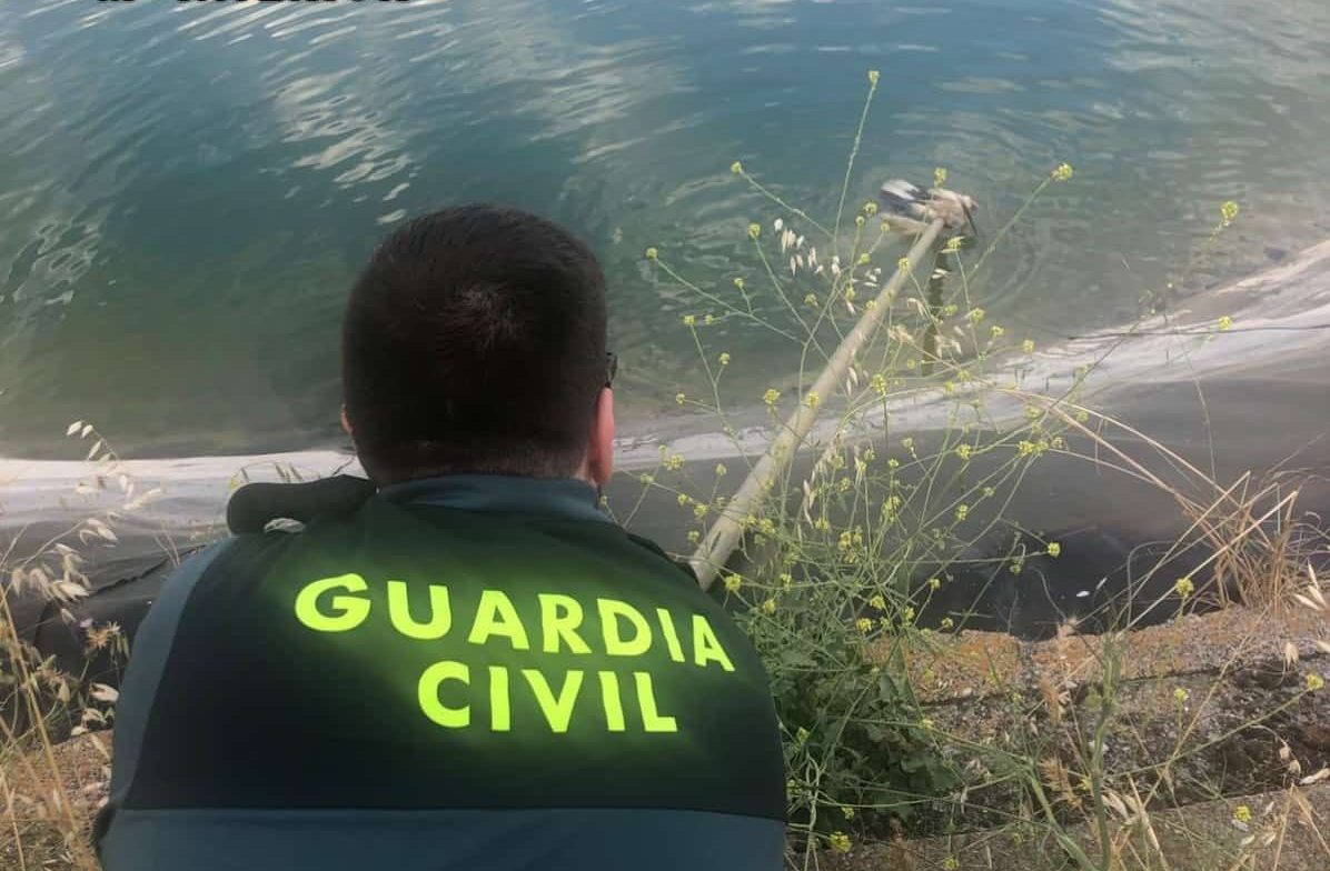 La Guardia Civil rescata a una cría de cigüeña en una balsa de riego de Palencia