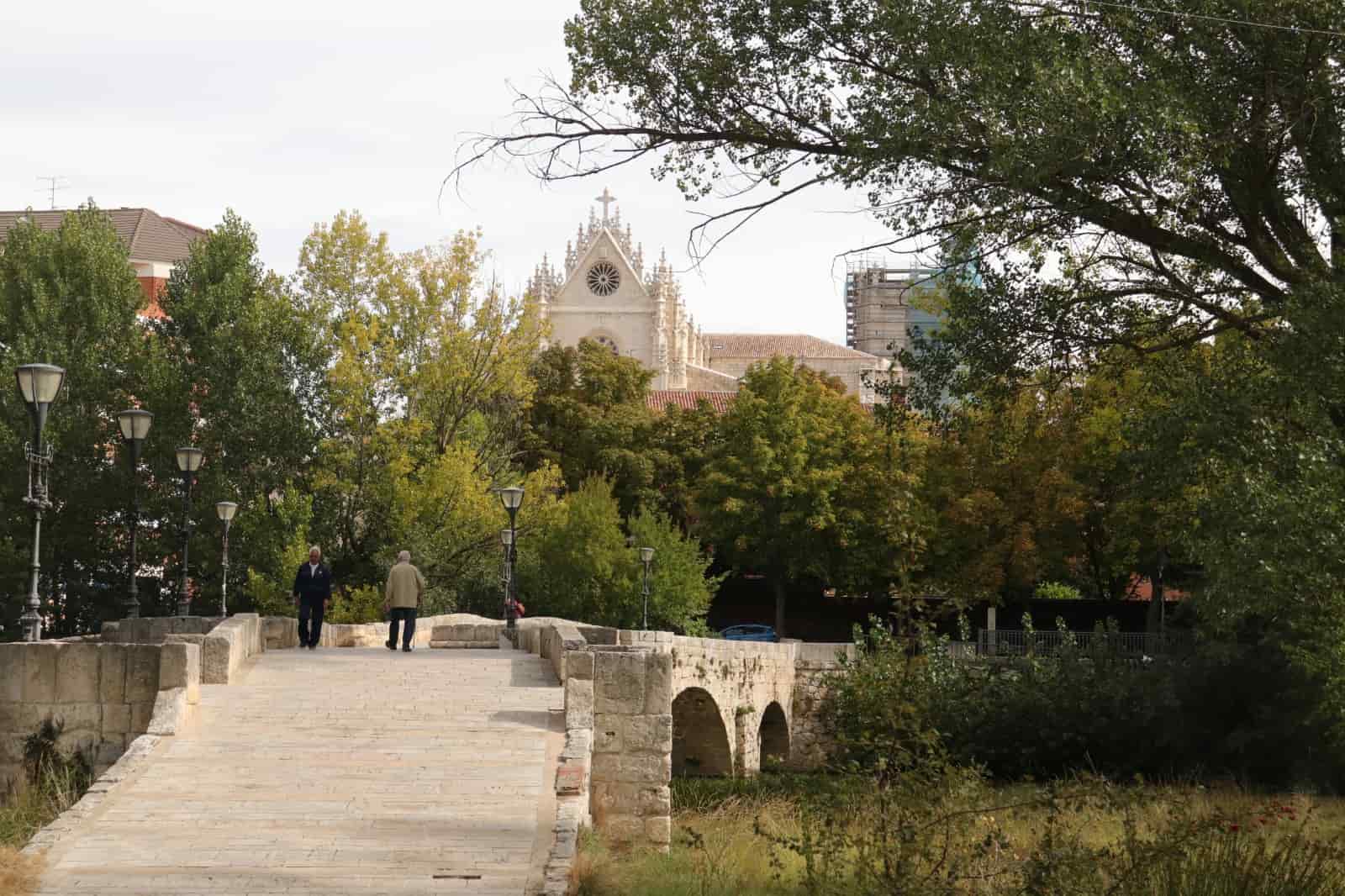 ¡Mira Palencia! Seis propuestas para descubrir tu ciudad