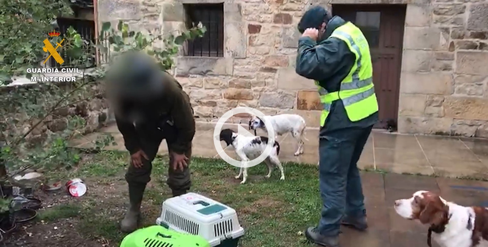 Investigado un palentino por un supuesto delito de abandono animal