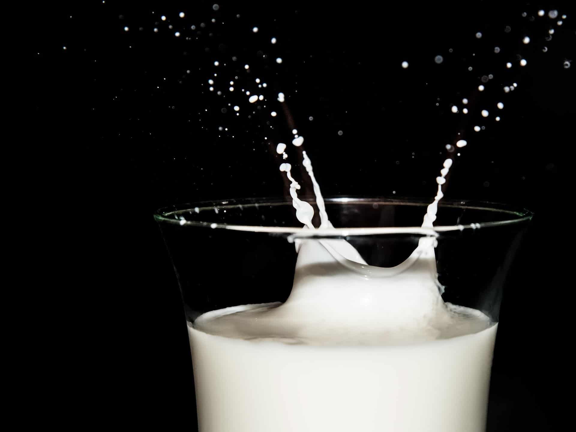 Castilla y León es una de las Comunidades que más leche y derivados consume en España, según estudio