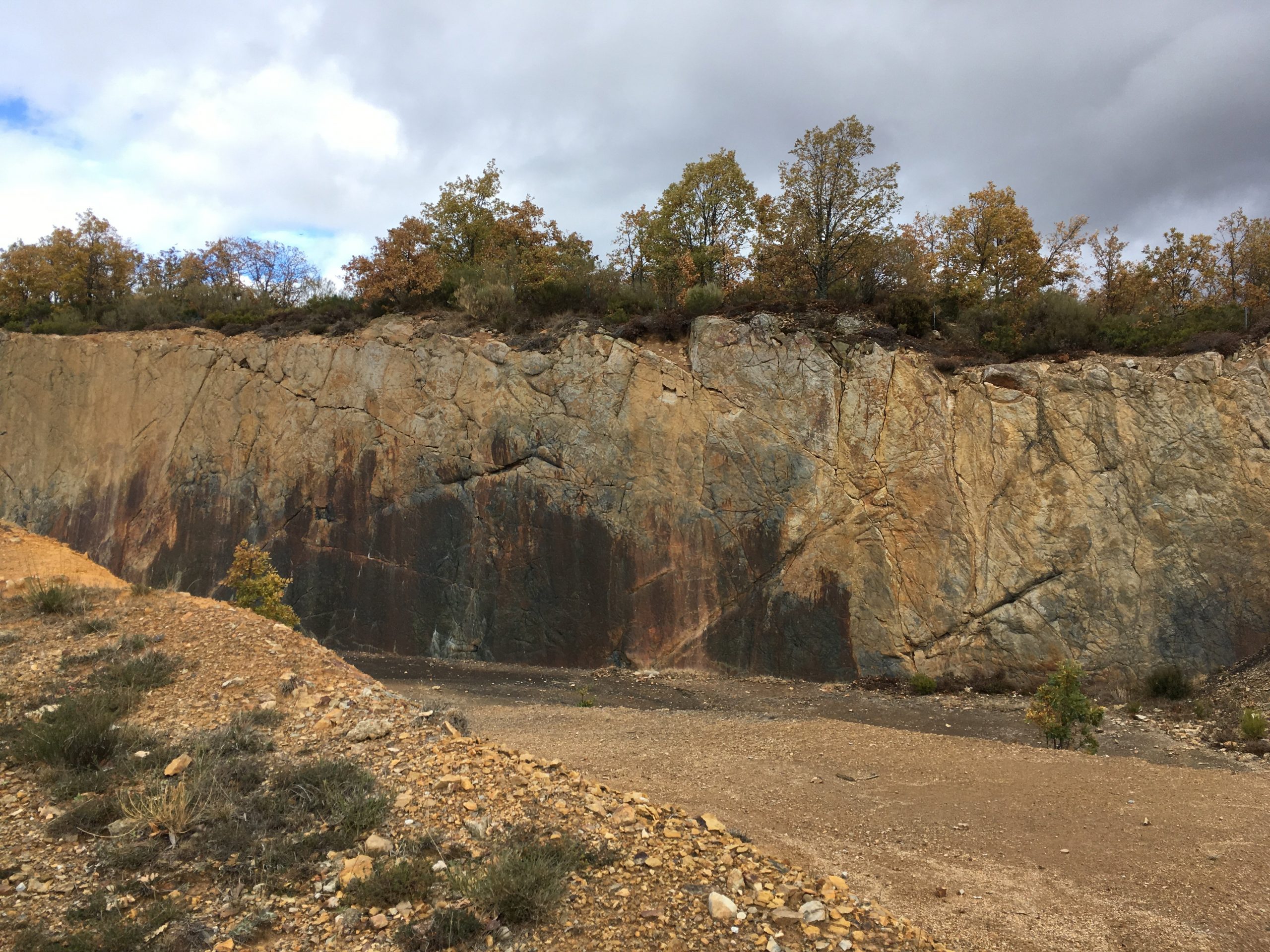 El Bosque Fósil de Verdeña en Palencia, un lugar para recordar