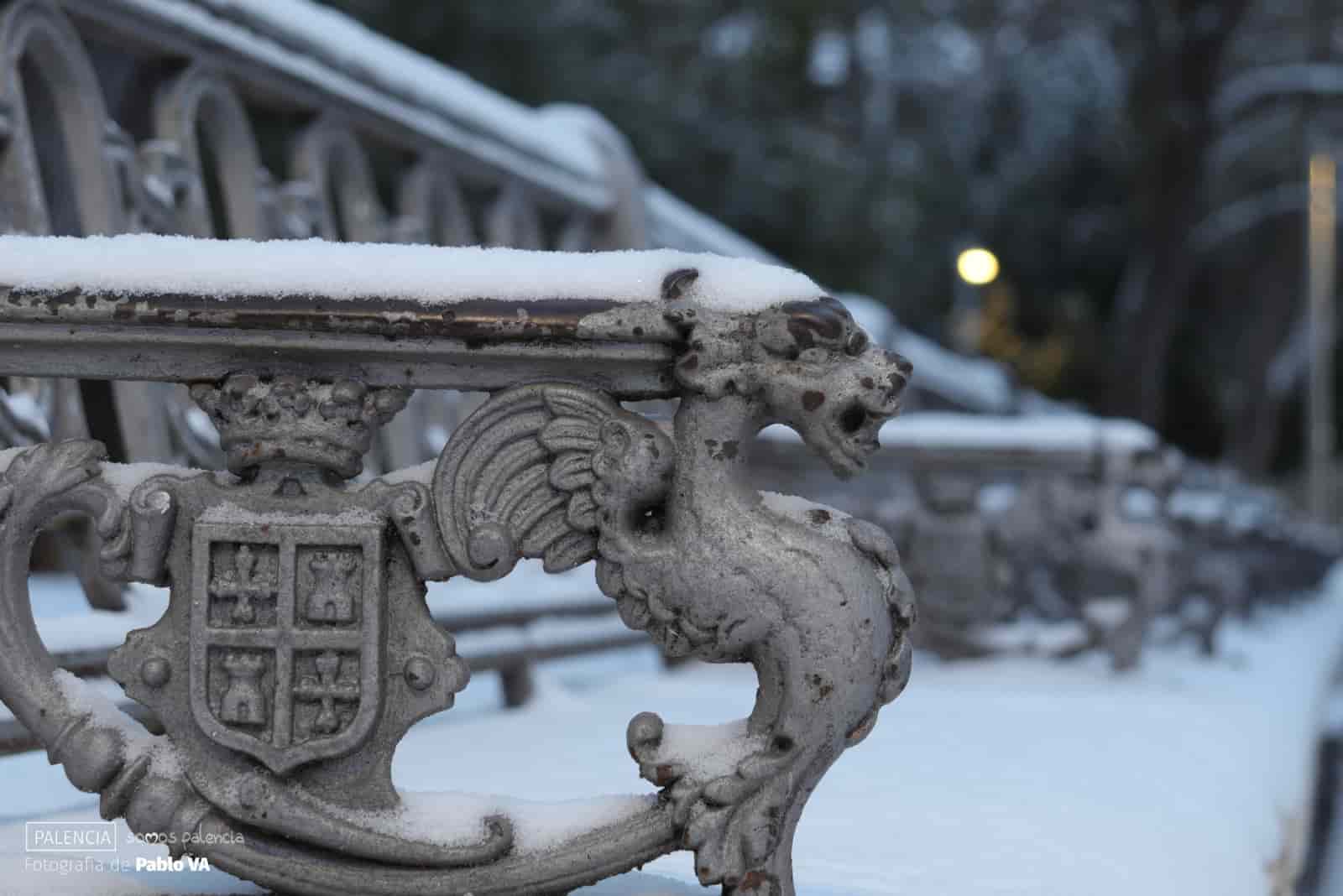Palencia cubierta de nieve: fotografías de Filomena en la ciudad