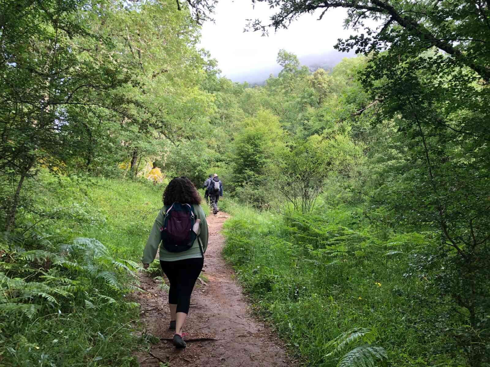 “Rutas de altura”, apuesta de Diputación para promocionar la Montaña Palentina como destino de turismo activo