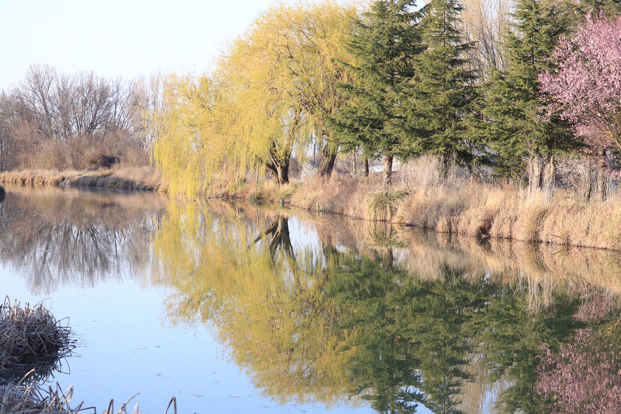 Dos embarcaciones conectarán la ciudad y Villamuriel de Cerrato por el Canal de Castilla