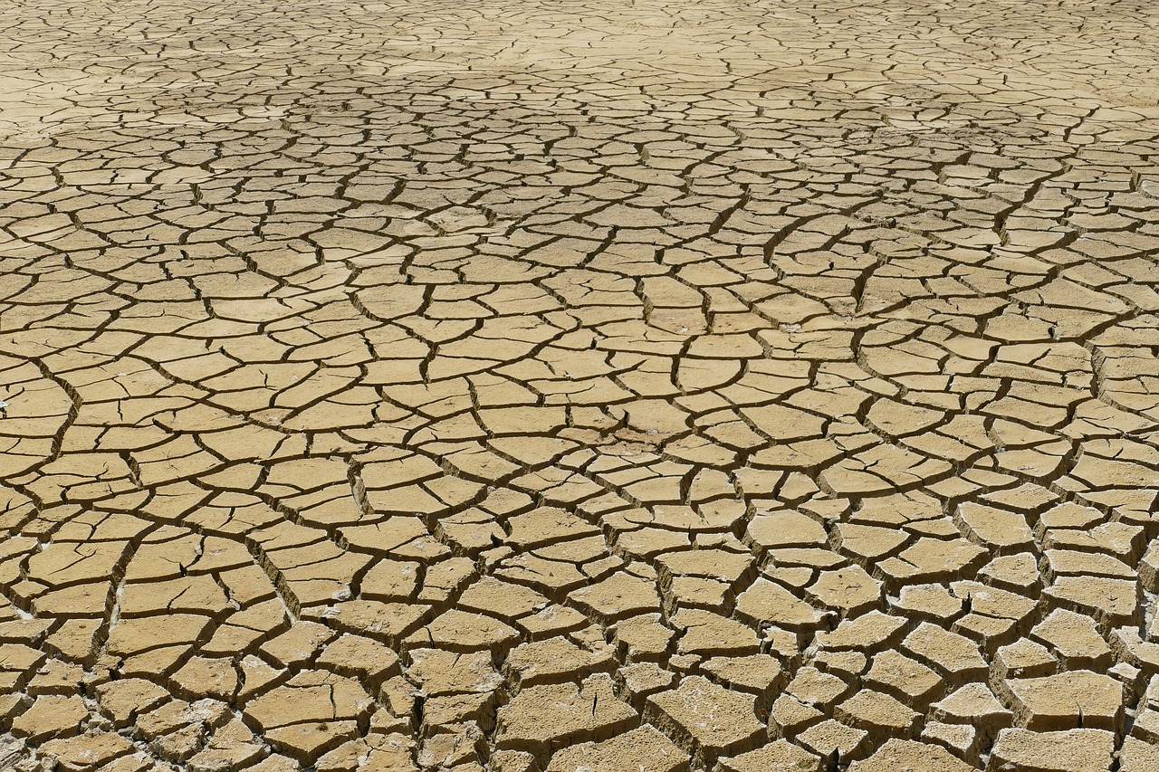 La Junta organiza en Zamora dos jornadas sobre el papel de la cooperación transfronteriza ante el cambio climático y el futuro de Europa