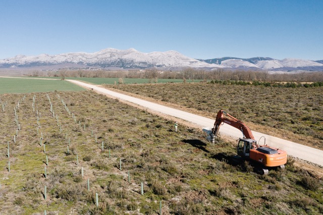 Land Life Company reforestará 82 hectáreas de tierras degradadas en Palencia