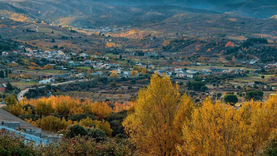 Ayudas a las diputaciones provinciales y al Consejo Comarcal de El Bierzo