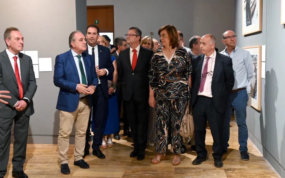 El sector ovino es pilar fundamental de la economía de la Comunidad