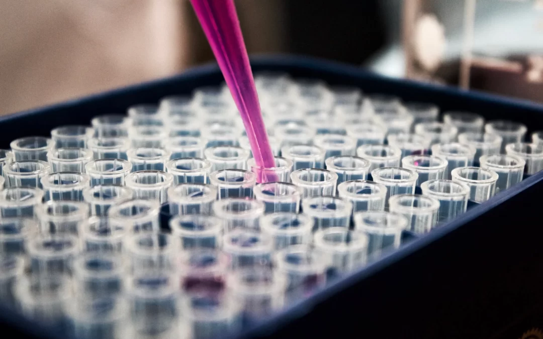 La Junta financiará la contratación de 90 investigadores predoctorales
