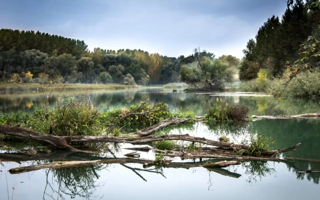 La prevención y vigilancia de la legionela, eje de actuación en materia de salud ambiental