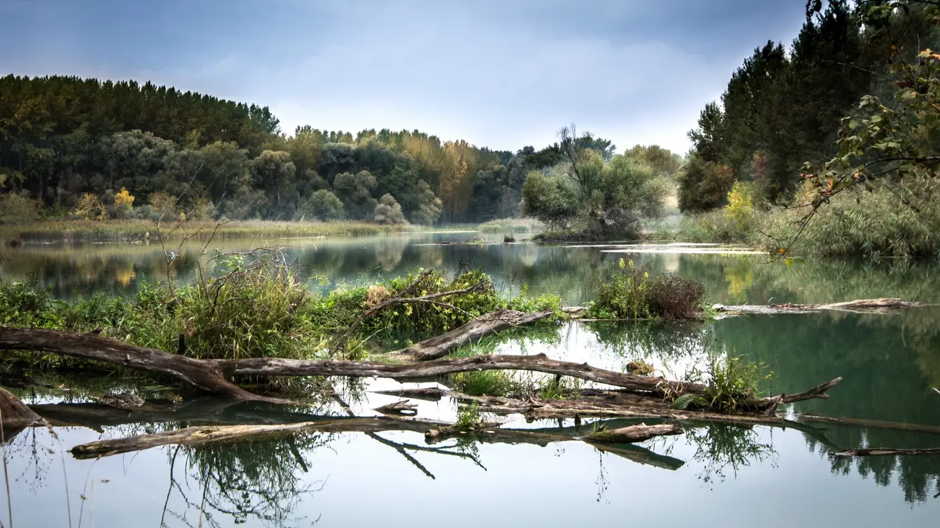 La prevención y vigilancia de la legionela, eje de actuación en materia de salud ambiental