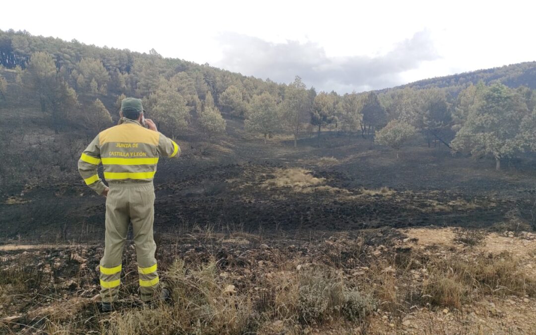 El cambio de la meteorología favorece el trabajo en el incendio de la Sierra de la Culebra