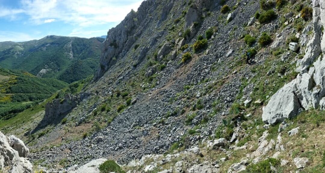 Sin nuevos indicios de la presencia de la osa y del osezno de la Montaña Palentina