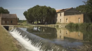 Cinco razones por las que visitar el Canal de Castilla en Dueñas