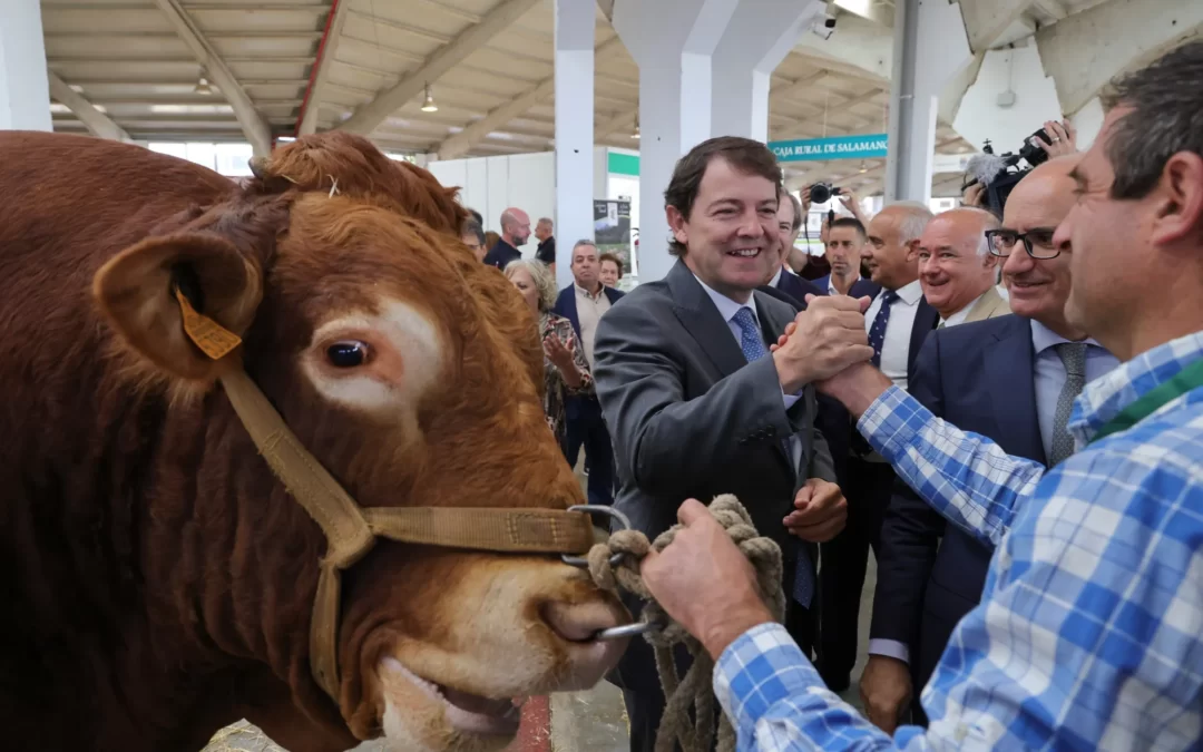 La Junta apoyará a las explotaciones agrarias y ganaderas para hacer frente a la crisis económica