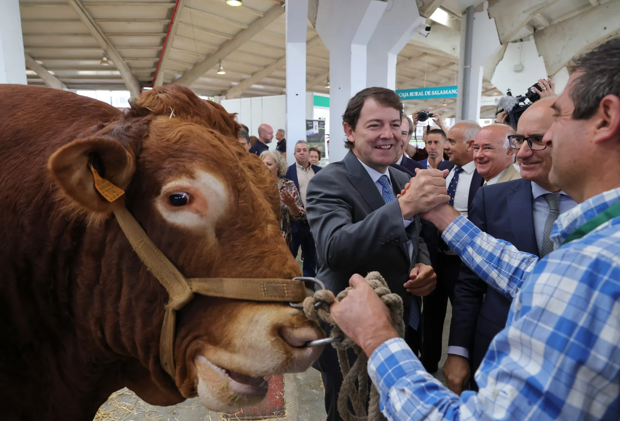 La Junta apoyará a las explotaciones agrarias y ganaderas para hacer frente a la crisis económica La Junta apoyará a las explotaciones agrarias y ganaderas para hacer frente a la crisis económica