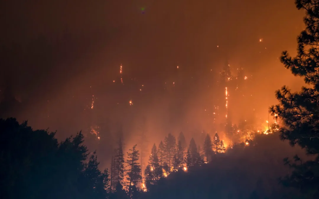 La Junta compensa el impacto económico provocado por grandes incendios