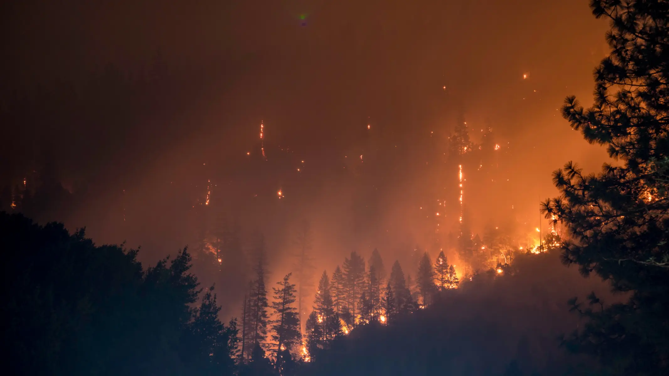 La Junta compensa el impacto económico provocado por grandes incendios La Junta compensa el impacto económico provocado por grandes incendios