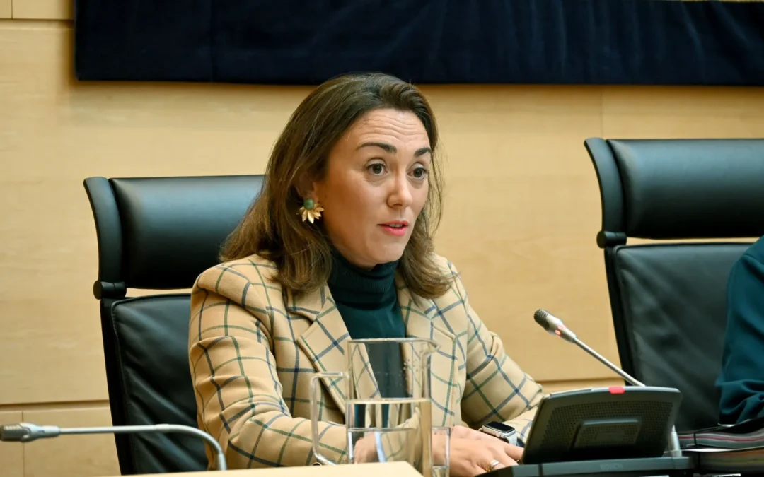 Movilidad y Transformación Digital presenta unas cuentas inversoras y sociales