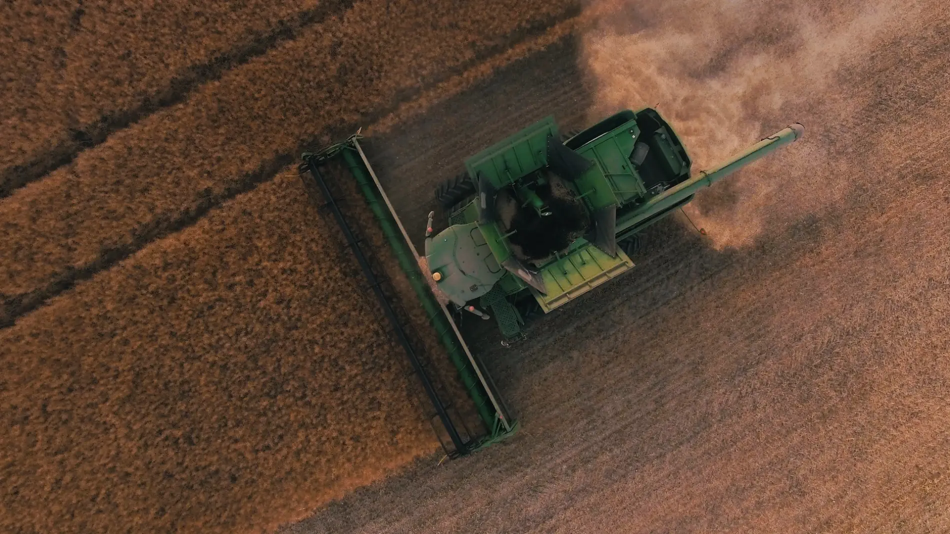 La Consejería de Agricultura, Ganadería y Desarrollo Rural recibe 65.543 solicitudes de la PAC
