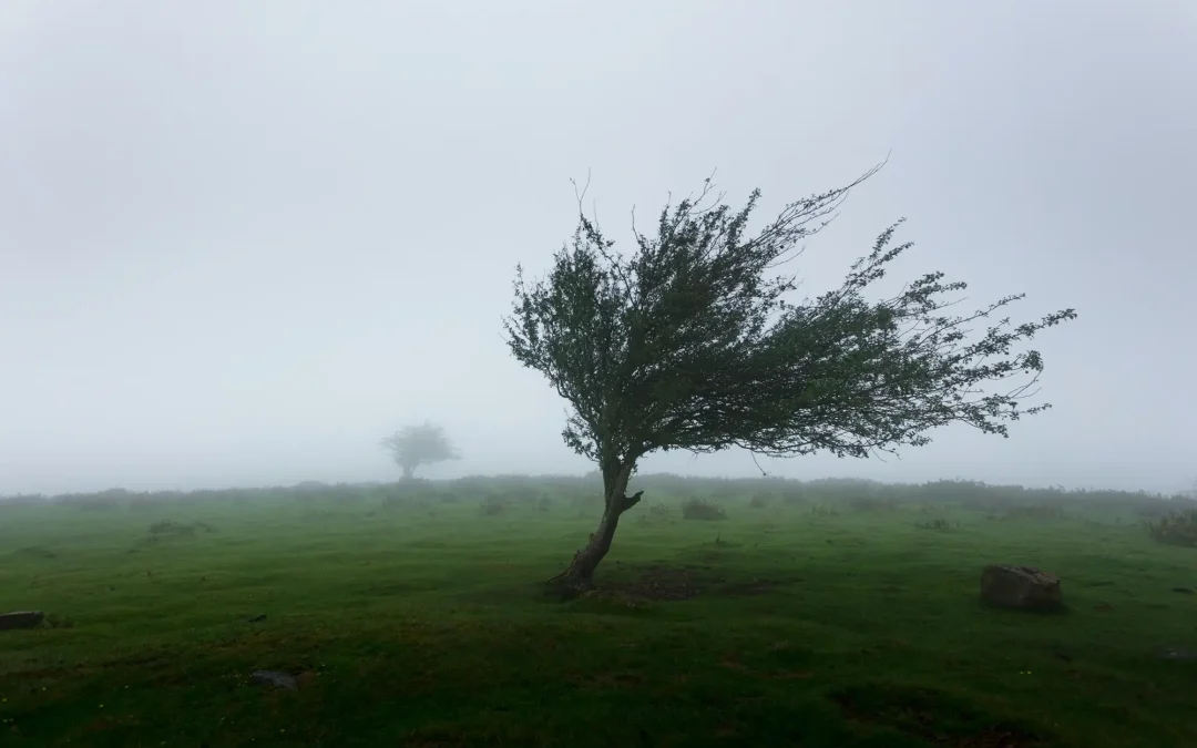 Castilla y León en alerta por fuertes vientos y lluvias en las próximas horas