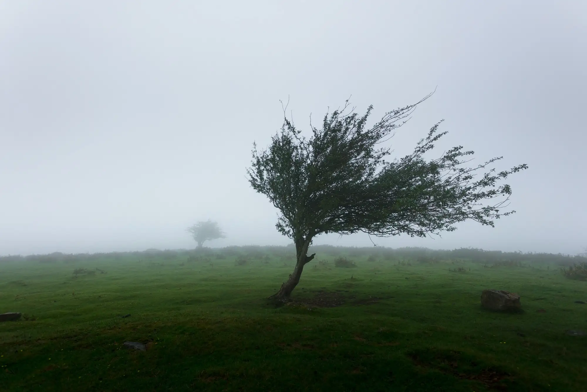Castilla y León en alerta por fuertes vientos y lluvias en las próximas horas