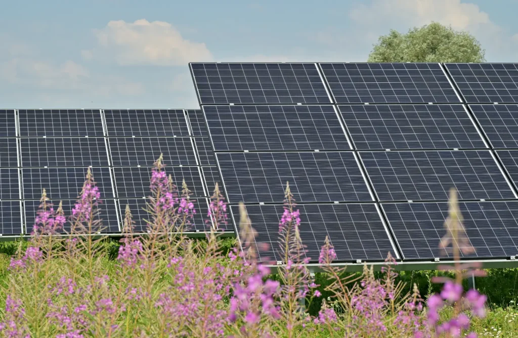 Isla Solar referentes en instalaciones fotovoltaicas en Castilla y León