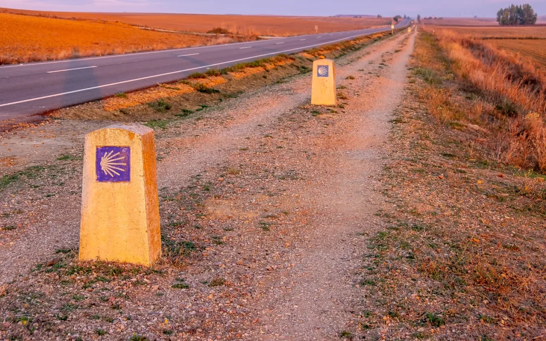 3.000 sensores en más de 400 municipios de Castilla y León