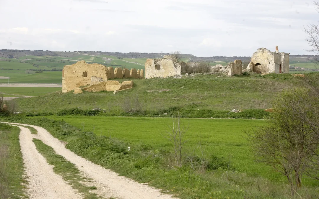 48 localidades de Palencia que verán mejorados sus caminos rurales
