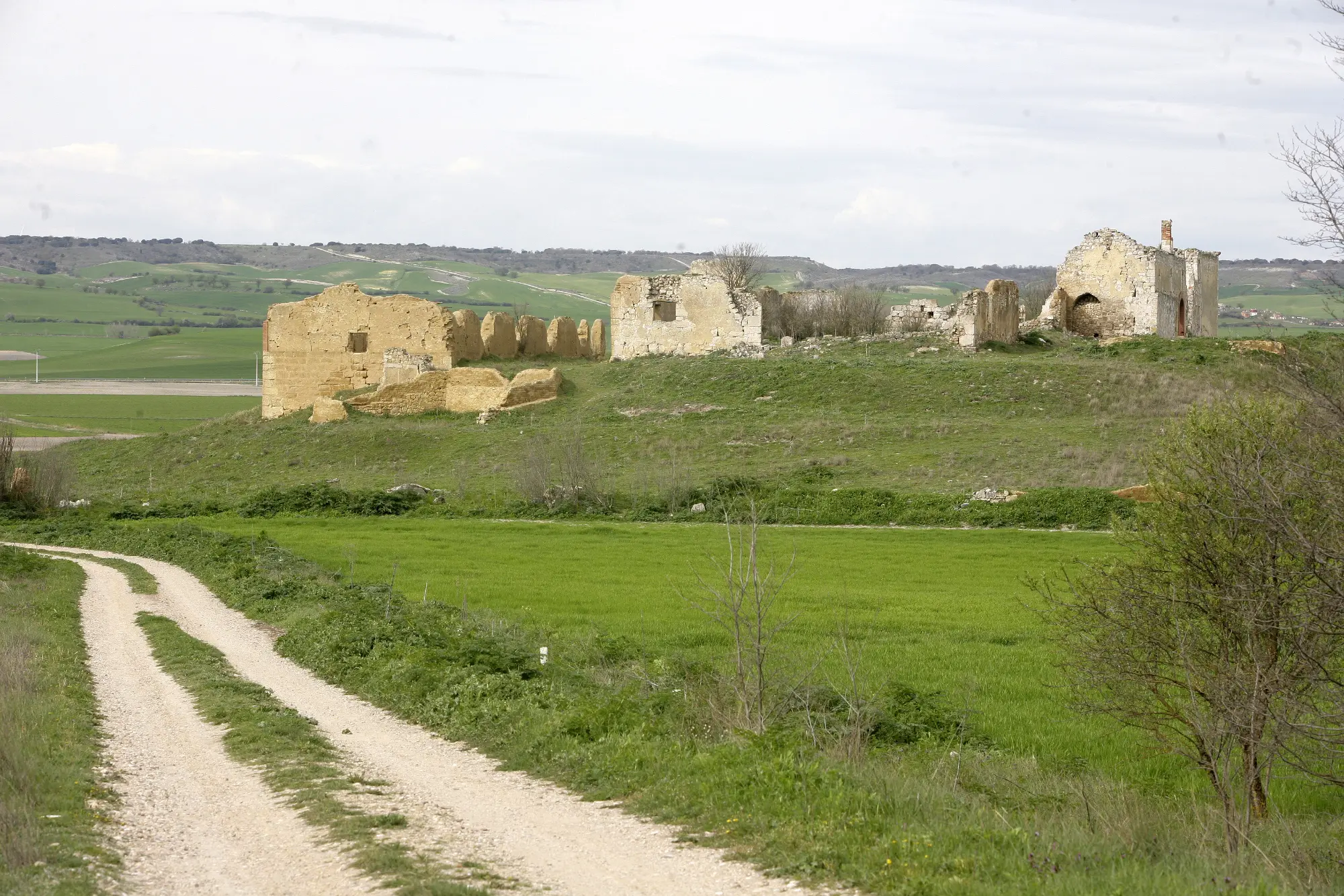 48 localidades de Palencia que verán mejorados sus caminos rurales