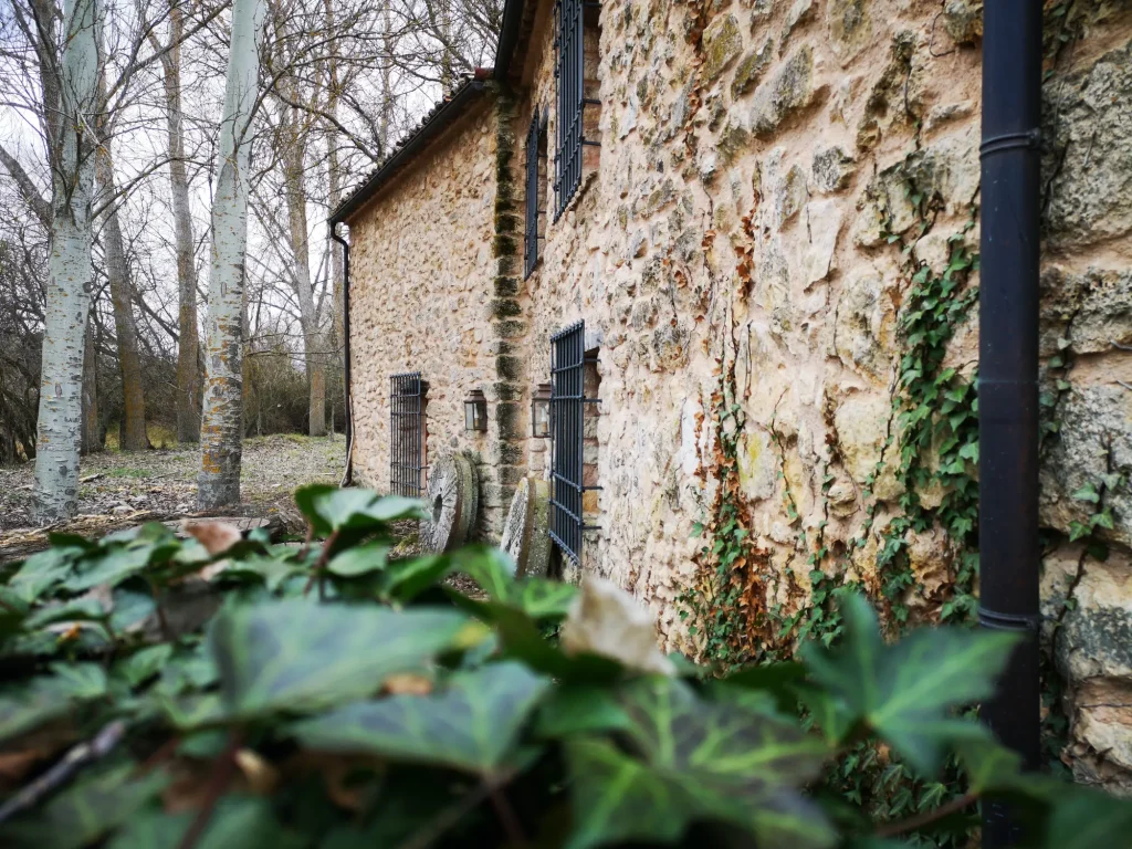 La Junta promueve la transformación de la enseñanza para adaptarla a los contextos de las zonas rurales
